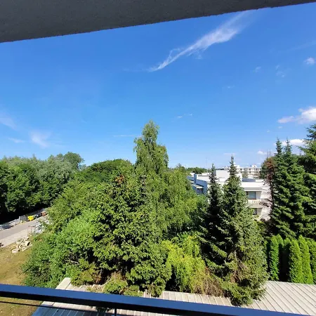 44 *